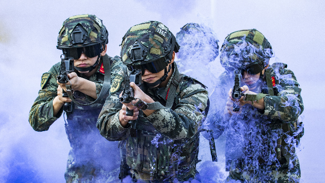 PAP soldiers in tactical coordination training